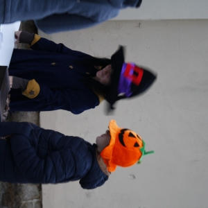 _MG_6312.JPG